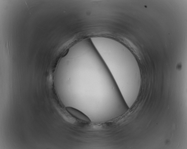 X0000102220405200807250750