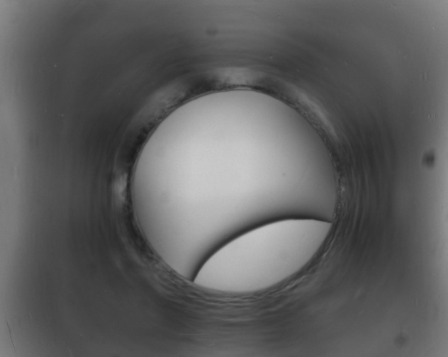 X0000102220406200807250750