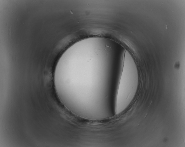 X0000102220407200807250750