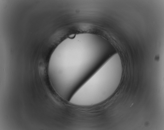 X0000102220408200807250750