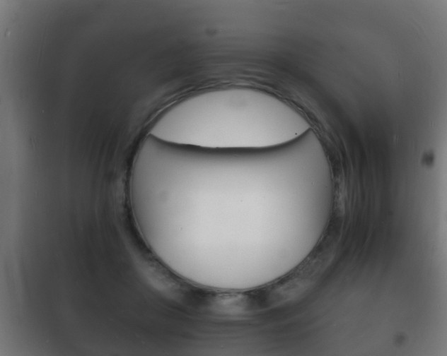 X0000102220410200807250750