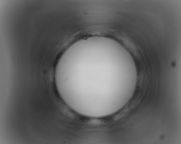 X0000102220413200807250750