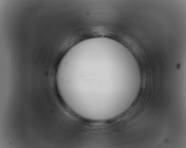 X0000102220414200807250750