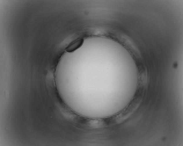 X0000102220415200807250750