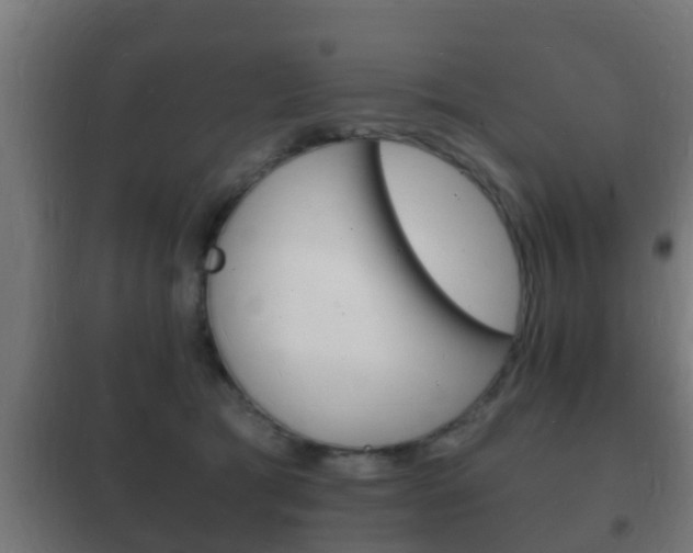 X0000102220417200807250750