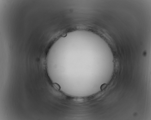 X0000102220419200807250750