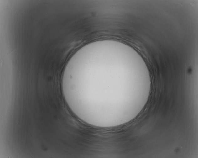 X0000102220423200807250750