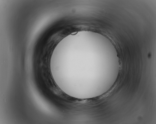 X0000102220430200807250750