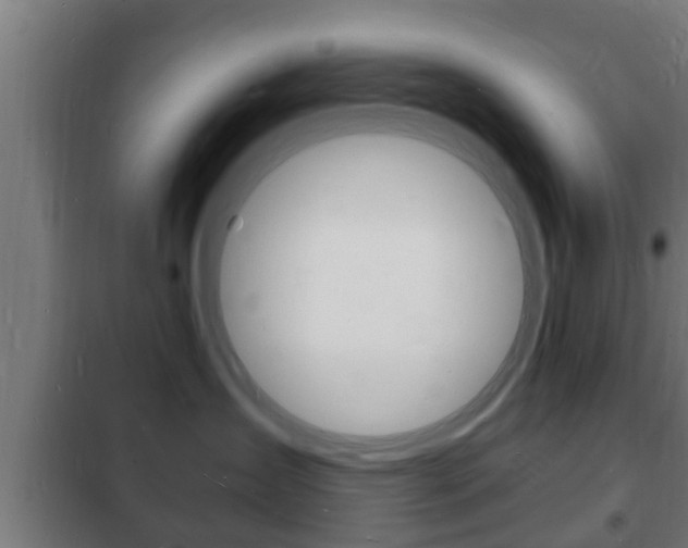 X0000102220431200807250750