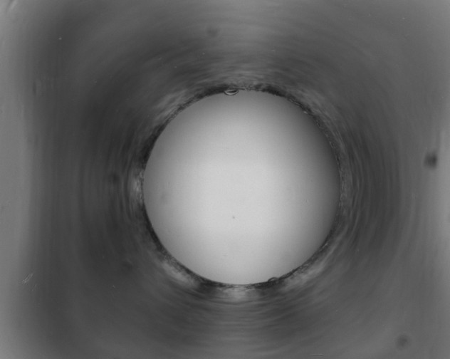 X0000102220432200807250750