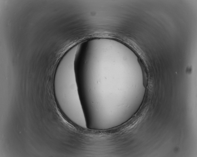 X0000102220433200807250749
