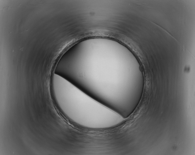 X0000102220434200807250749