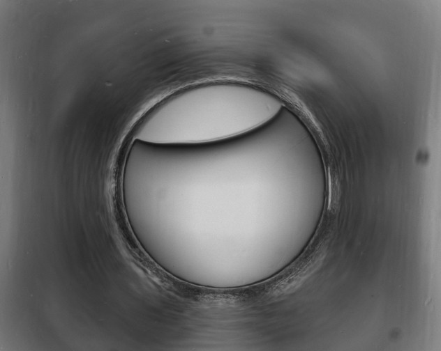 X0000102220435200807250749
