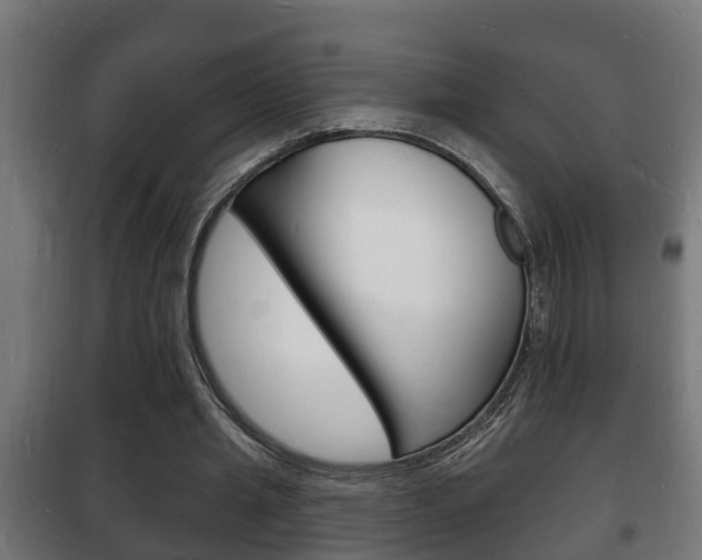 X0000102220437200807250749