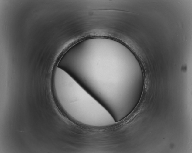 X0000102220438200807250749