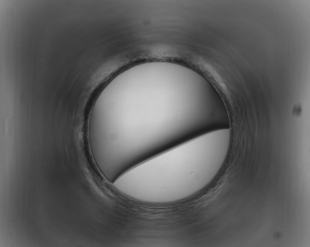 X0000102220443200807250749