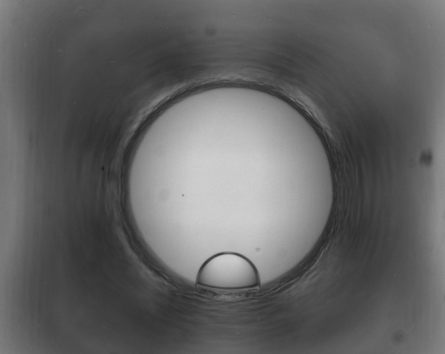 X0000102220444200807250749