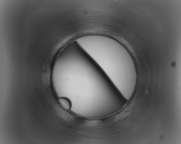 X0000102220446200807250749