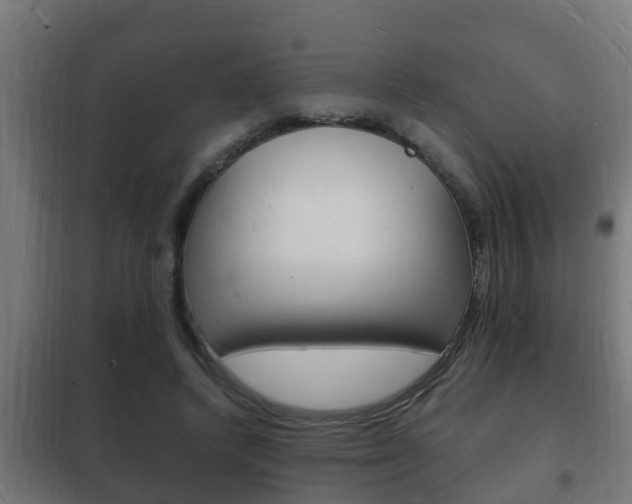 X0000102220448200807250750