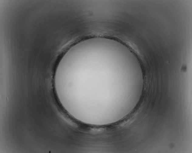 X0000102220450200807250750