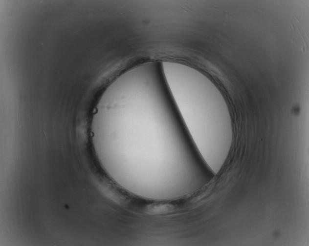 X0000102220452200807250750