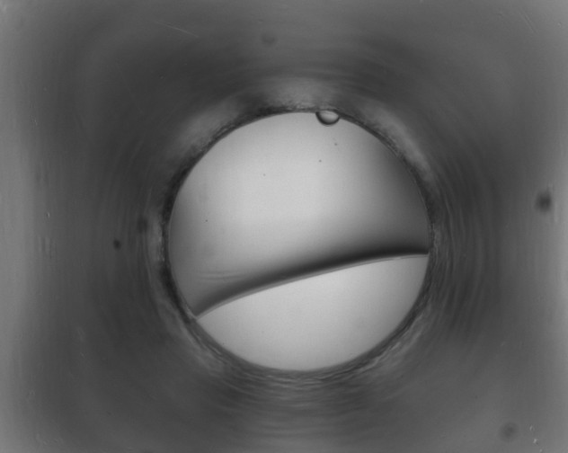 X0000102220453200807250750