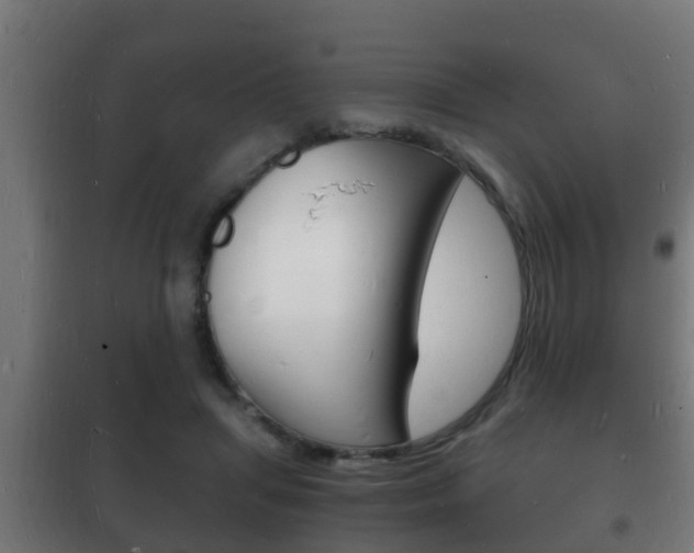 X0000102220455200807250750