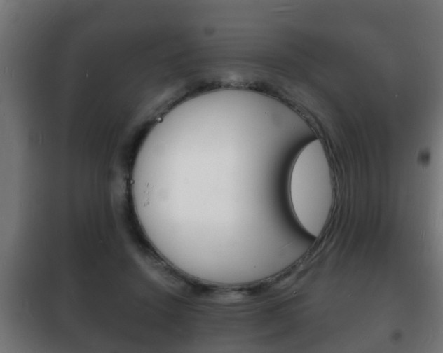 X0000102220456200807250750