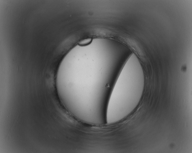 X0000102220457200807250750