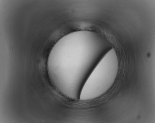 X0000102220461200807250750