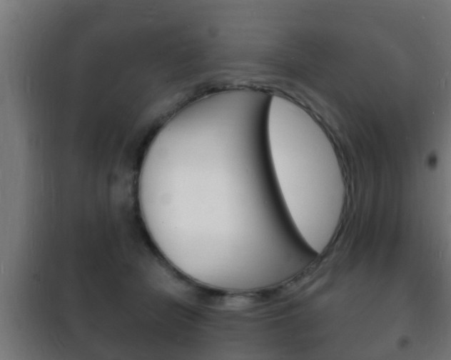 X0000102220462200807250750