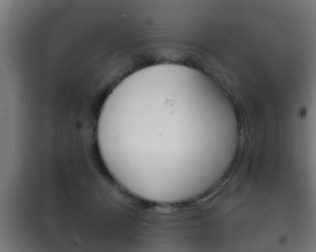 X0000102220464200807250750