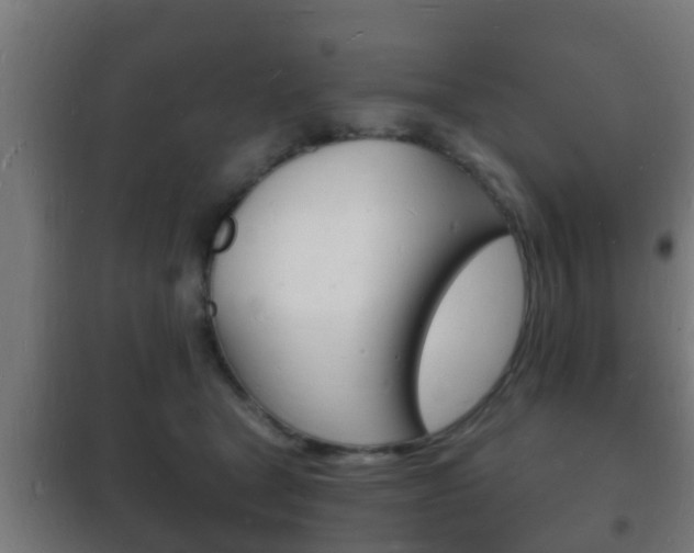 X0000102220465200807250750