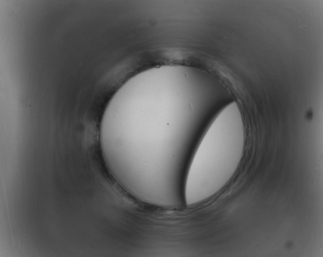 X0000102220467200807250750