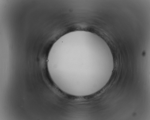 X0000102220468200807250750