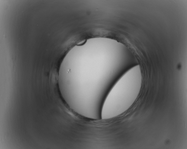 X0000102220474200807250750