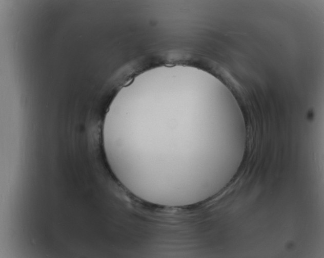 X0000102220475200807250750