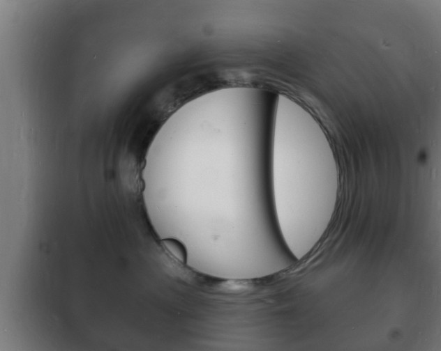 X0000102220477200807250750