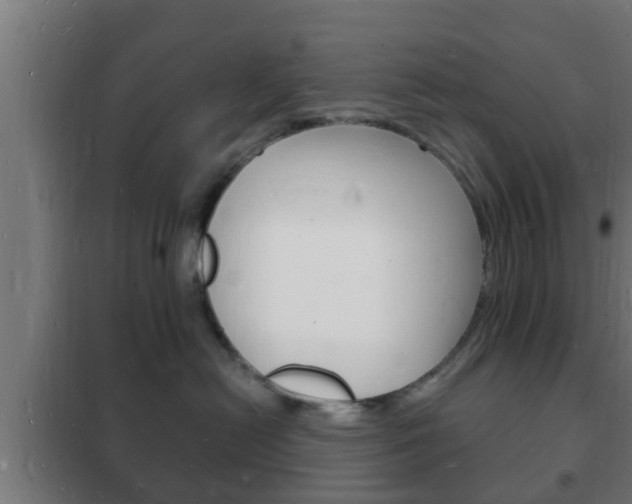 X0000102220478200807250750