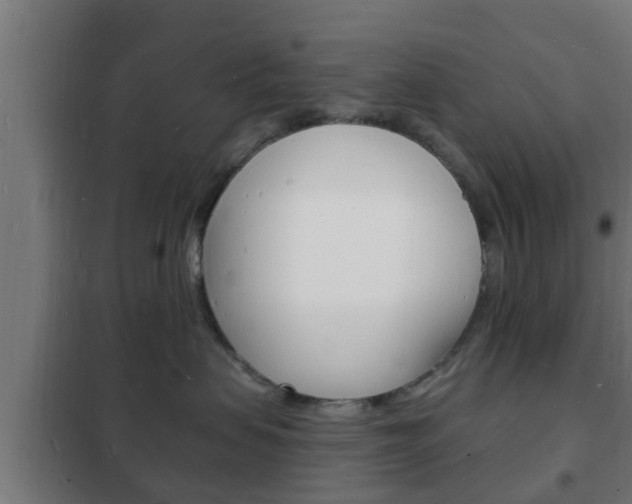 X0000102220479200807250750