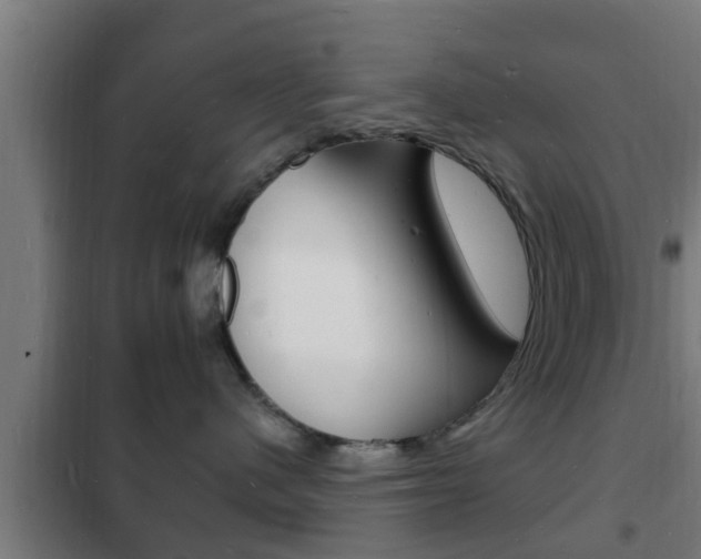 X0000102220480200807250750