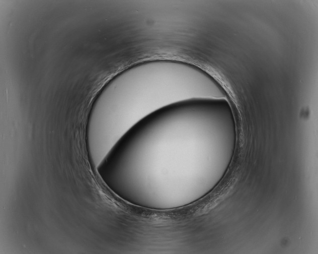 X0000102220481200807250749