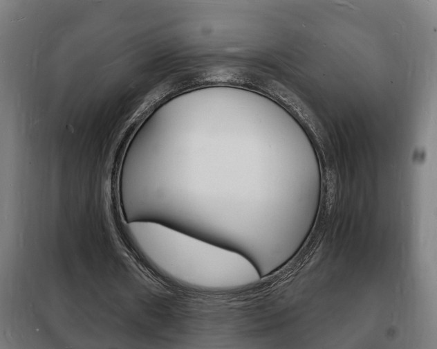 X0000102220482200807250749