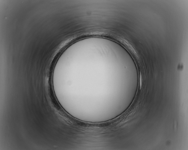 X0000102220483200807250749