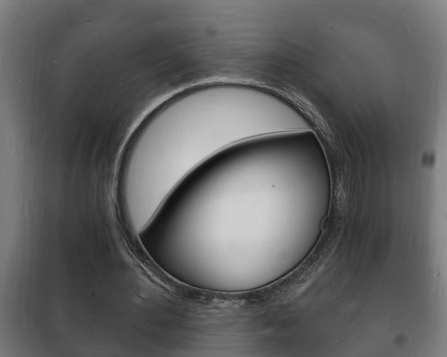 X0000102220484200807250749