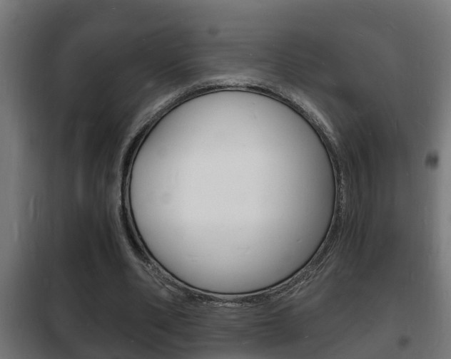 X0000102220486200807250749