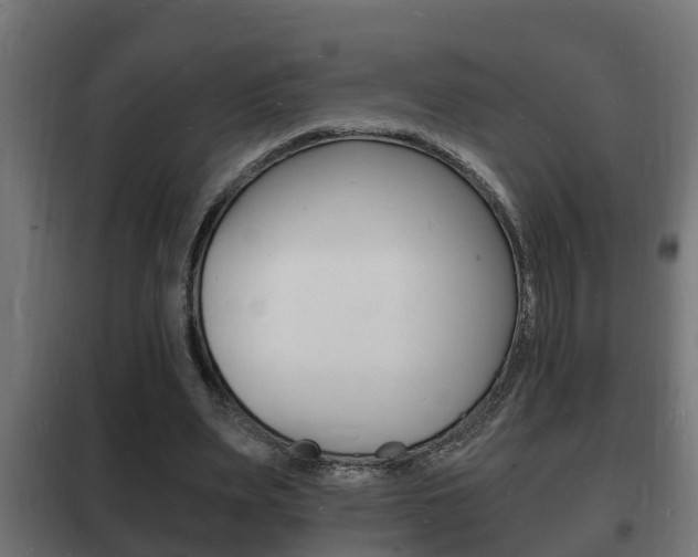 X0000102220487200807250749