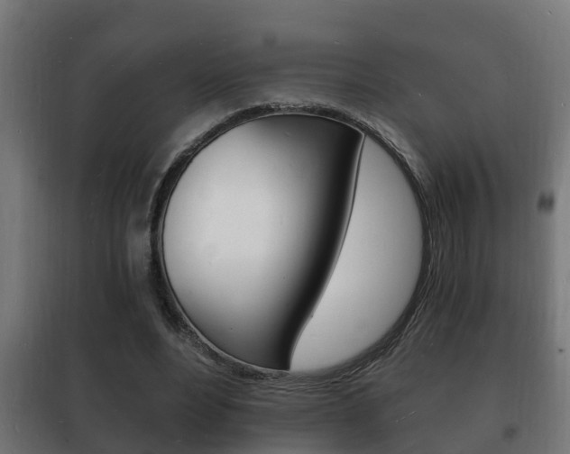 X0000102220488200807250749