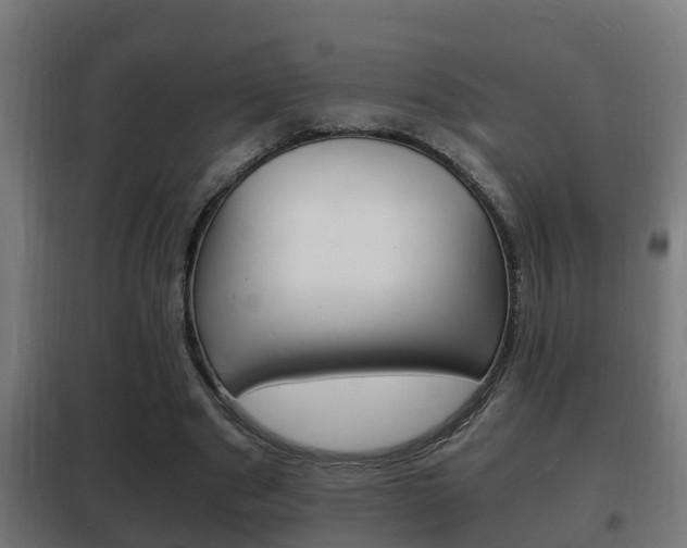 X0000102220489200807250749