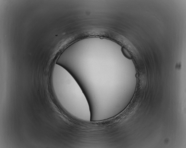 X0000102220490200807250749